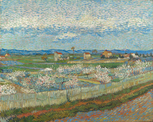 Peach blossom in the Crau - Van Gogh Painting On Canvas